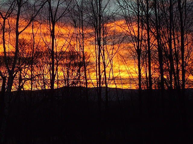 The sunrise view from the living room