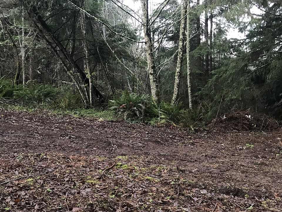 2nd image of 317 Delor Rd