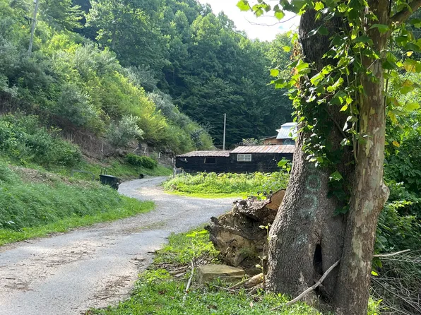 202 Windy Fork Rd, Kite, KY 41828