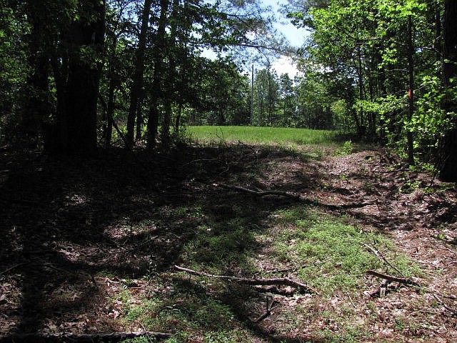 2nd image of 0 Reedy Creek Rd #10 & 9