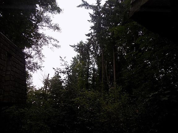 Gorgeous views from spacious shared deck.
