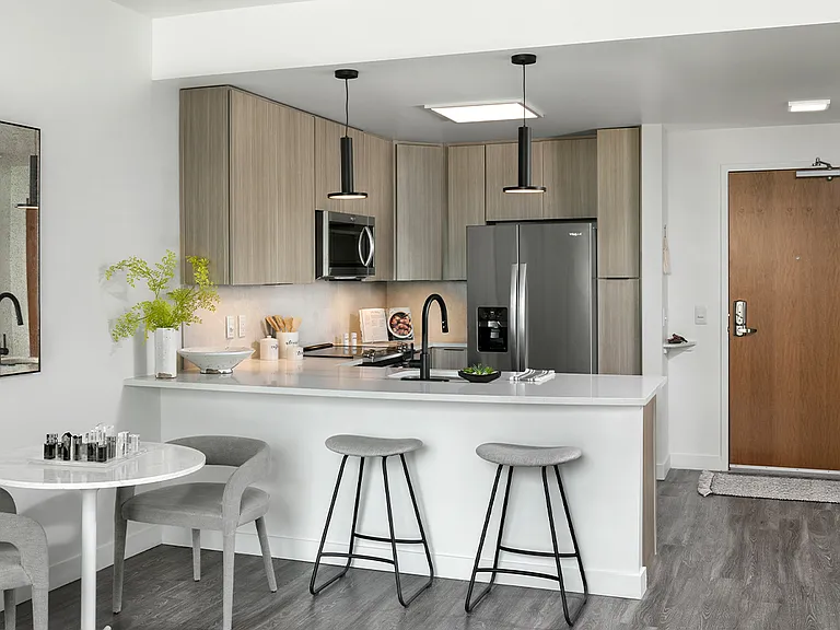 Apartment kitchen with stainless steel appliances, quartz countertops and wood-style flooring.
