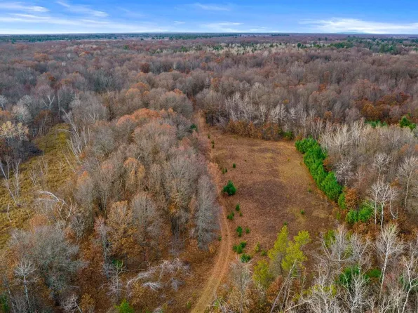 40 Acres HINES ROAD #Town of Remington, Babcock, WI 54413