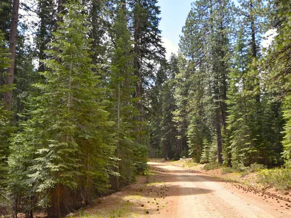LOT 5 Twisted Pine Way, McCloud, CA 96057