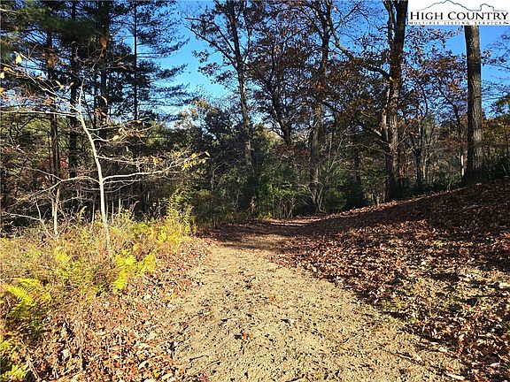 3rd image of 474E Ray Miller Rd