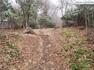 TBD Staghorn Hollow, Beech Mountain, NC 28604