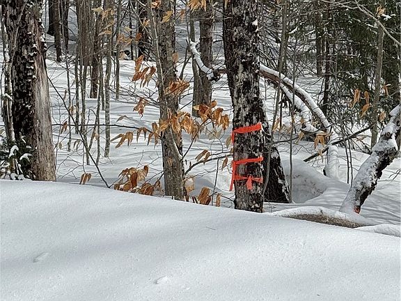 2nd image of LOT 3 Roberts Rd Lot 3