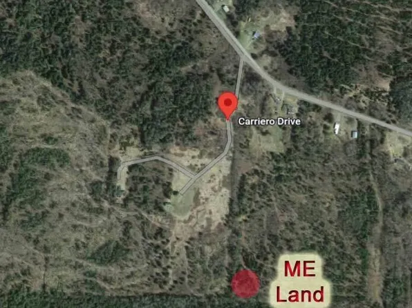 Lot 31 Carriero Road, Cary Plt, ME 04471
