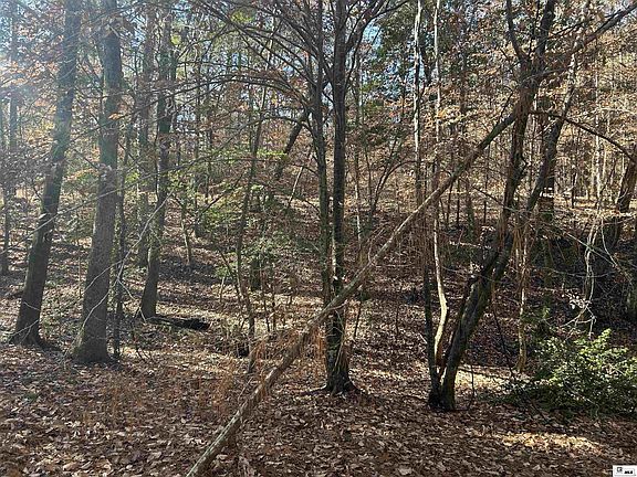 4th image of 0 Dozier Rd