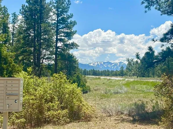 60 Fisher Canyon Court, Ridgway, CO 81432