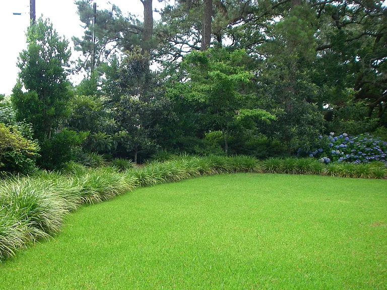 Large front yard.