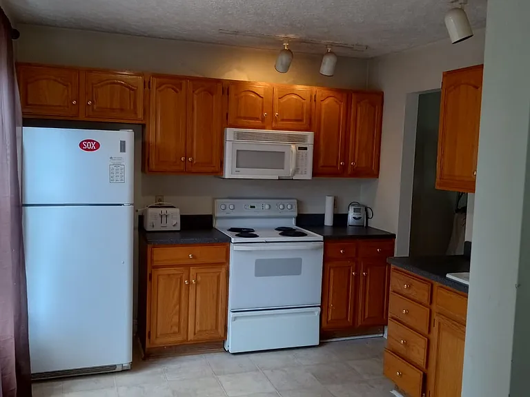 265 Bronze Leaf Dr — Photo 15