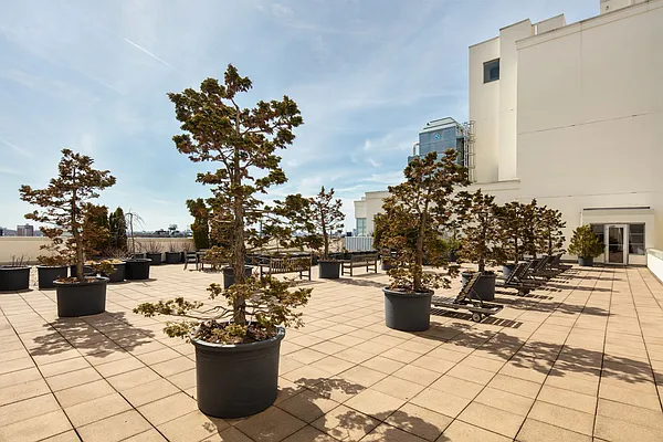 Rented by Compass | media 25