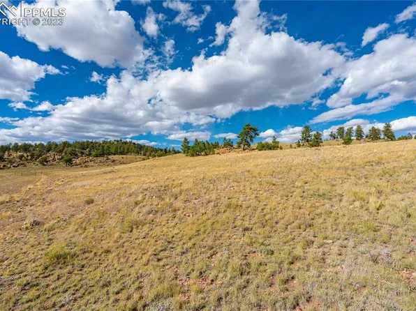 Dog Chief Trl, Hartsel, CO 80449