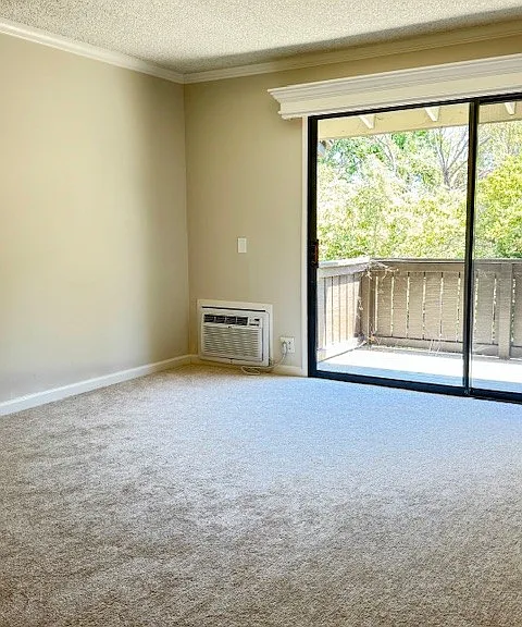 1407 Marchbanks Dr — Photo 11