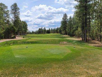 1001 S Vine Maple Ln, Show Low, AZ, 85901