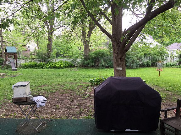 Back yard from house