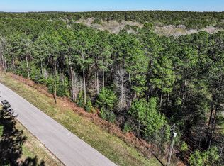 76 Wagon Pass Dr, Huntsville, TX 77340