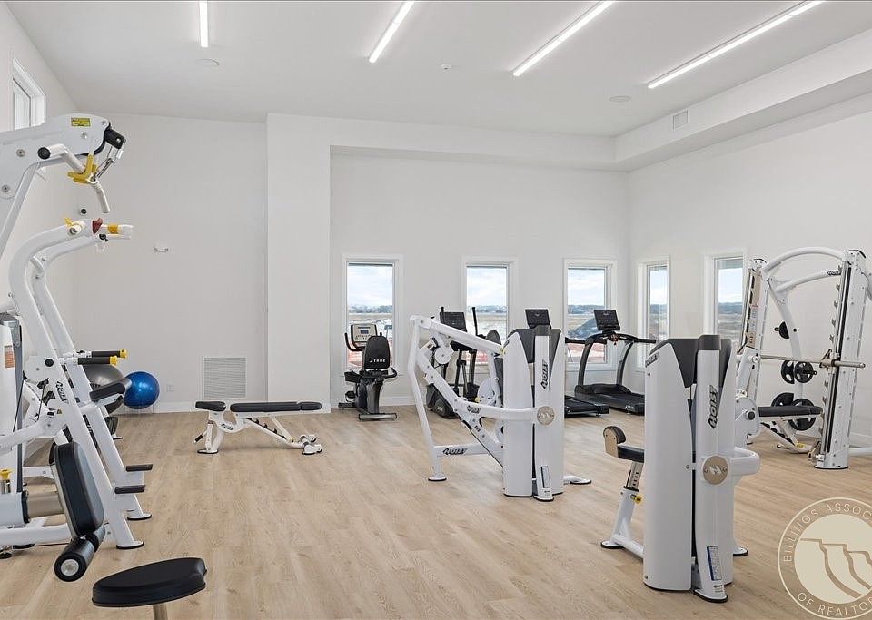 2nd image of Scheffler Way