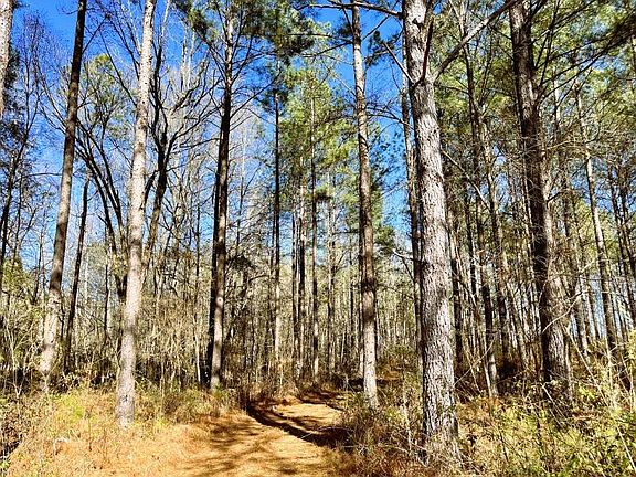 3rd image of Briarwood Rd