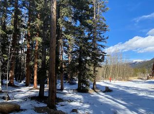 551 N Aspen St #15 & 16, Alma, CO 80420