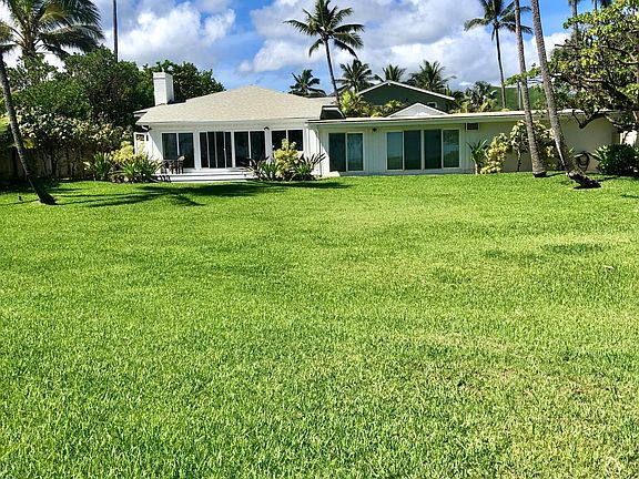 Back yard