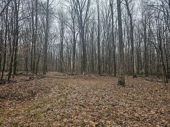 3rd image of 0 Fairview Rd
