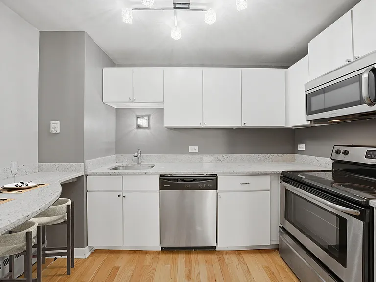 233 E Erie St #1301 — Photo 20