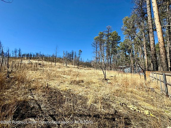 2nd image of 204 Sequoia Dr