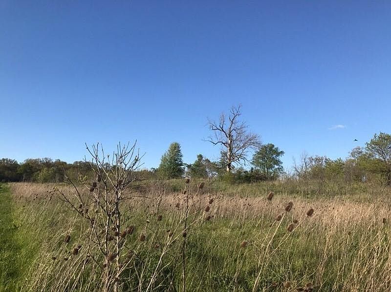 1st image of 0 County Road 11