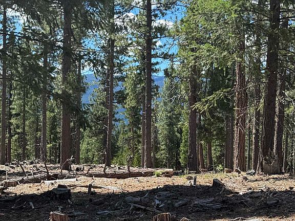 5th image of 2245 Xanadu Rd