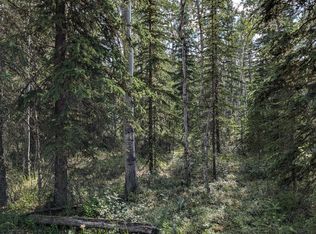 L1b9 John Taylor Ave, Tok, AK 99780