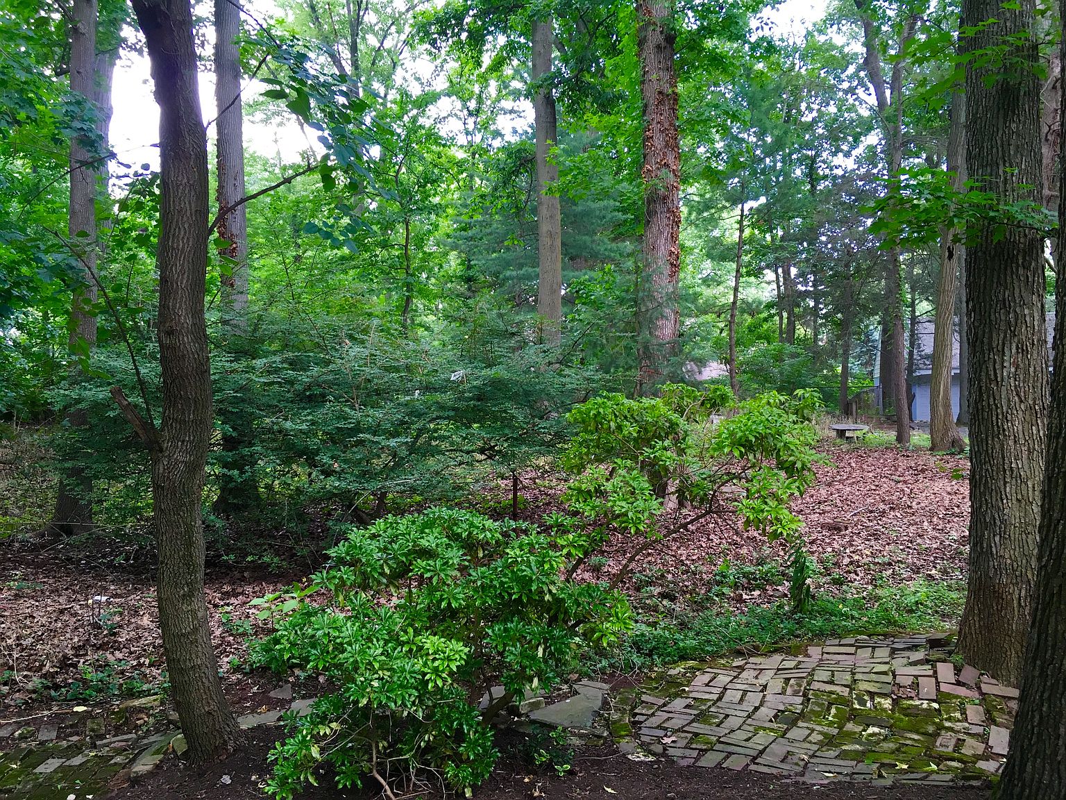 128 Clive St, Edison, NJ 08820 Zillow