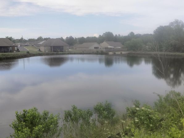 18554 Wiregrass Dr, Vance, AL 35490