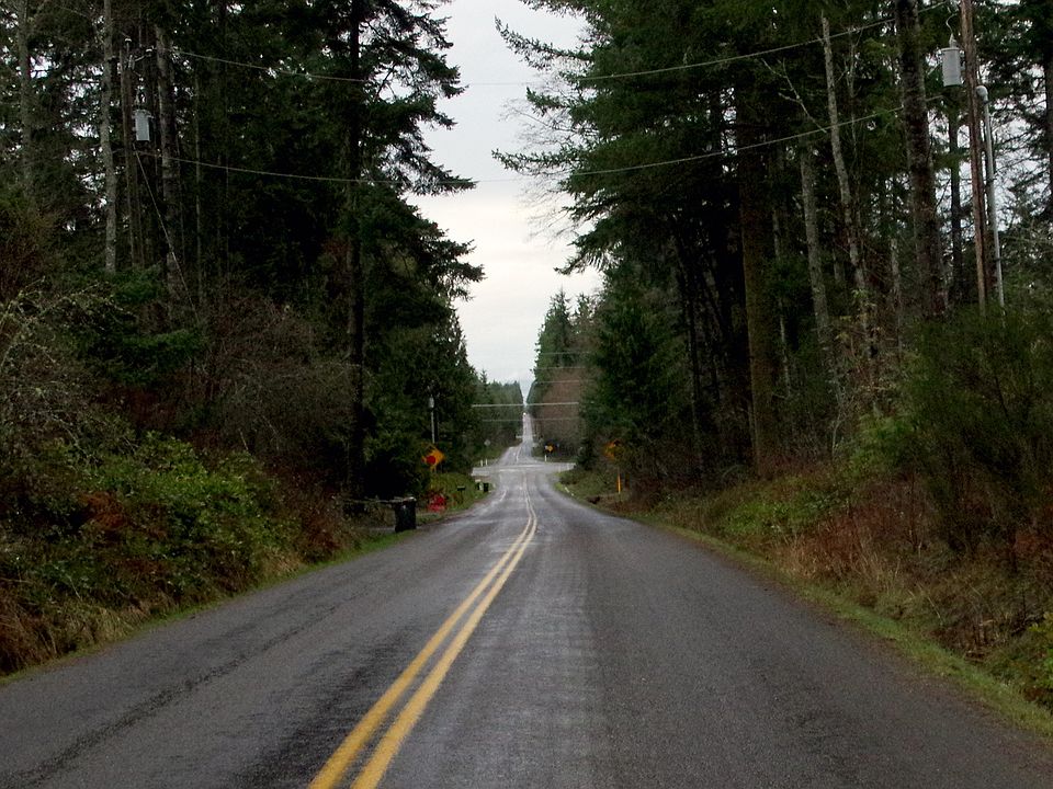 2nd image of 62 Dan Kelly Rd