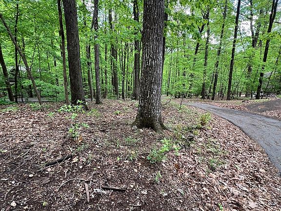 5th image of 387 Windflower Dr