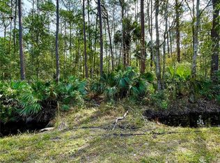 N/a Old Deland Rd, Daytona Beach, FL 32124