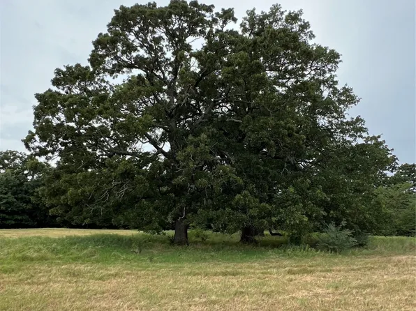 County Road 3515, Dike, TX 75437