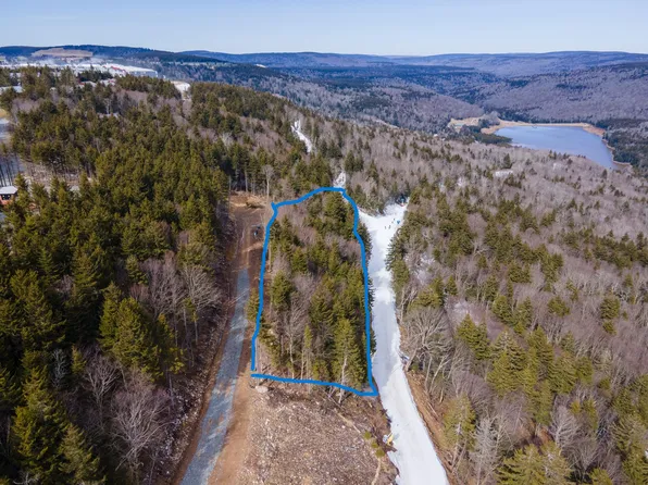 18 Forever Wild, Snowshoe, WV 26209
