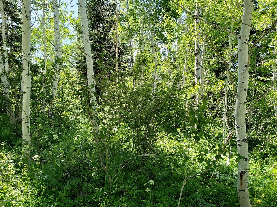 1st image of 967 Game Reserve Dr Lot 518