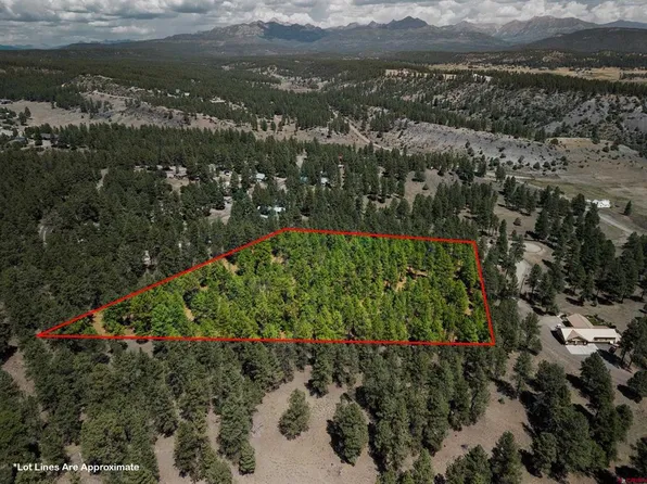 X Bienvenido Circle, Pagosa Springs, CO 81147