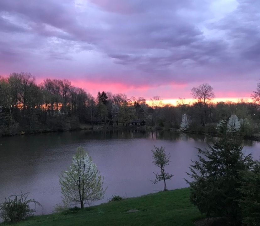 Spring sunrise