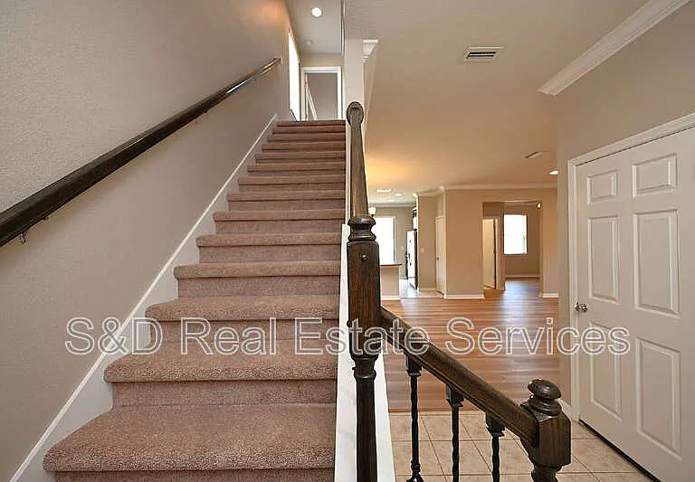 6309 Yellow Buckeye Dr — Photo 21
