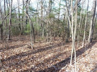 51 N Pointe Dr #51, Zirconia, NC 28790