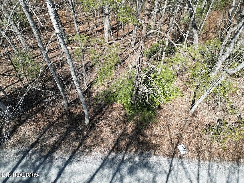 2nd image of 607 Saint George Dr