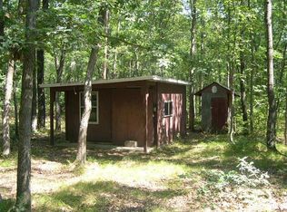 Mary St, Wellston, MI 49689