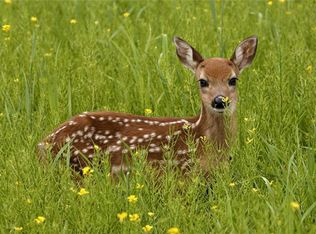 32 Laurel View Ln, Tobyhanna, PA 18466