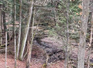 22861 Arquilla Creek Rd, Harrietta, MI 49638