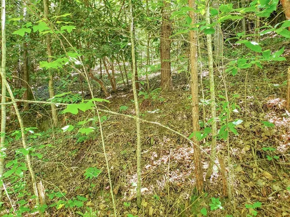 45R Forest Hills Rd, Bryson City, NC 28713