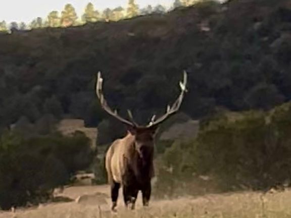 4th image of Bia Rd #113